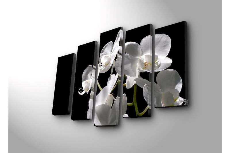 Suuri 5-osainen canvas-taulu 105x70 cm - Valkoinen orkidea eleganteilla kukilla - Valkoinen / Vihreä - Sisustustuotteet - Taulu & taide - Canvas-taulu