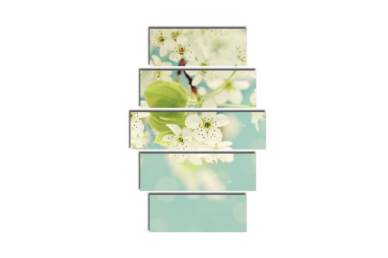 Suuri 5-osainen canvas-taulu 105x70 cm - Valkoisia hortensioita kukassa pehmeän sinistä taustaa vasten - Valkoinen / Vihreä / Sininen - Sisustustuotteet - Taulu & taide - Canvas-taulu