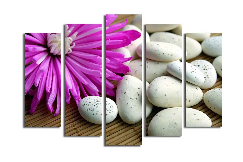 Suuri 5-osainen canvas-taulu 105x70 cm - Violetti kukka valkoisilla kivillä, Violetti / Valkoinen