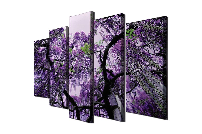 Suuri 5-osainen canvas-taulu 105x70 cm - Violetti wisteria-kukka roikkuu, Violetti / Vihreä / Musta