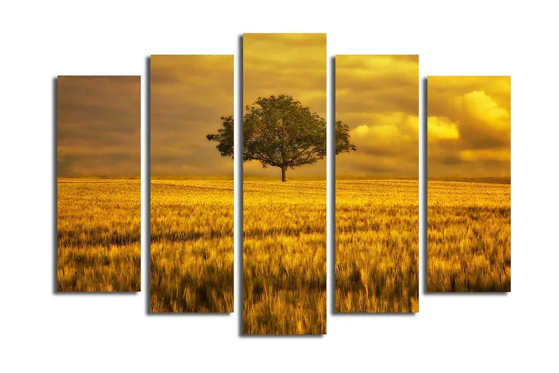 Suuri 5-osainen canvas-taulu 105x70 cm - Yksinäinen puun latvus kultaisessa niityssä, Kulta / Vihreä / Beige