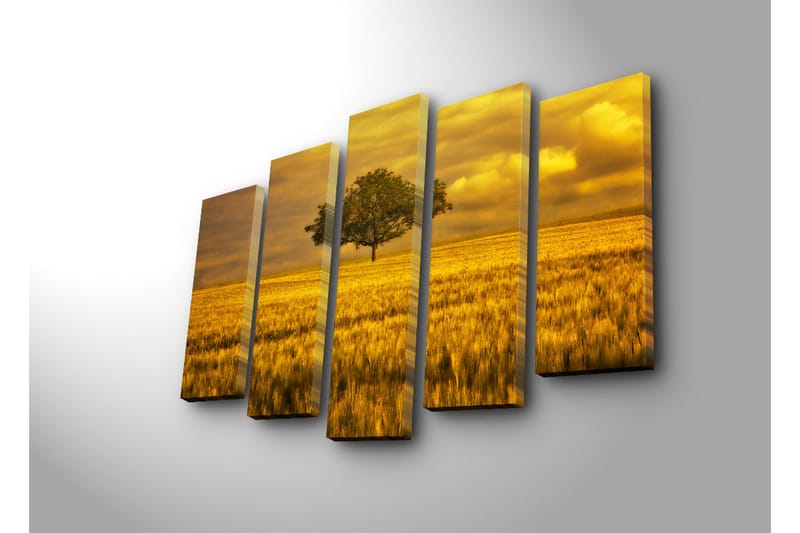 Suuri 5-osainen canvas-taulu 105x70 cm - Yksinäinen puun latvus kultaisessa niityssä - Kulta / Vihreä / Beige - Sisustustuotteet - Taulu & taide - Canvas-taulu