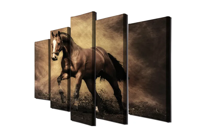 Suuri 5-osainen canvas-taulu 105x70 cm - Ylpeä hevonen liikkeessä, Tummanruskea / Beige / Musta