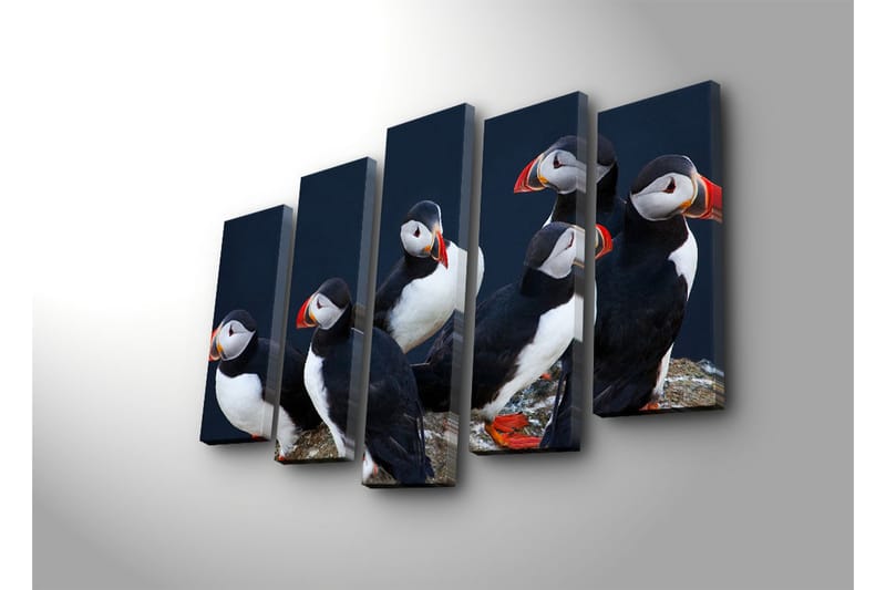 Suuri canvas-taulu, 5 osaa, 105x70 cm - Ryhmä lunneja kallion reunalla - Musta / Valkoinen / Oranssi - Sisustustuotteet - Taulu & taide - Canvas-taulu