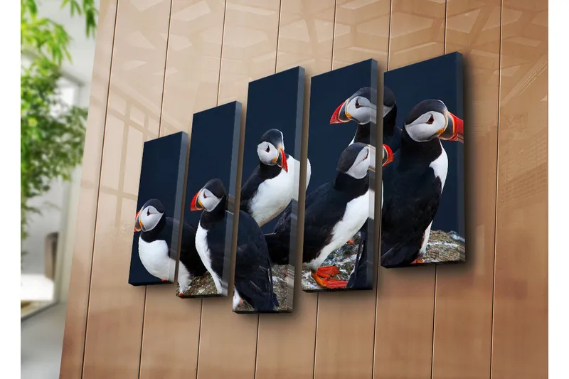 Suuri canvas-taulu, 5 osaa, 105x70 cm - Ryhmä lunneja kallion reunalla - Musta / Valkoinen / Oranssi - Sisustustuotteet - Taulu & taide - Canvas-taulu