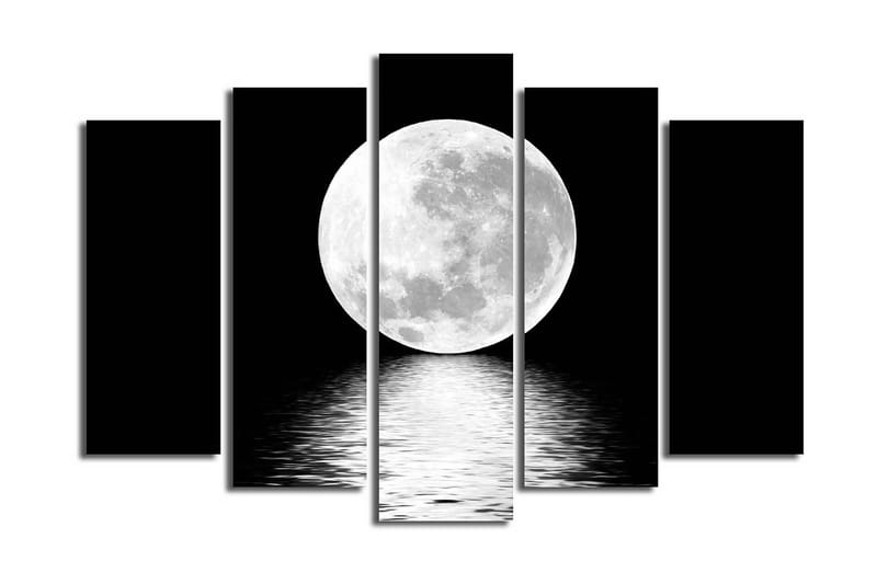 Suuri canvas-taulu, 5 osaa, 105x70 cm - Upea täysikuu heijastuu veden pinnasta - Valkoinen / Musta - Sisustustuotteet - Taulu & taide - Canvas-taulu
