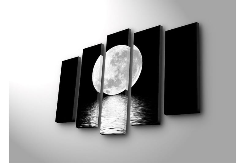 Suuri canvas-taulu, 5 osaa, 105x70 cm - Upea täysikuu heijastuu veden pinnasta - Valkoinen / Musta - Sisustustuotteet - Taulu & taide - Canvas-taulu
