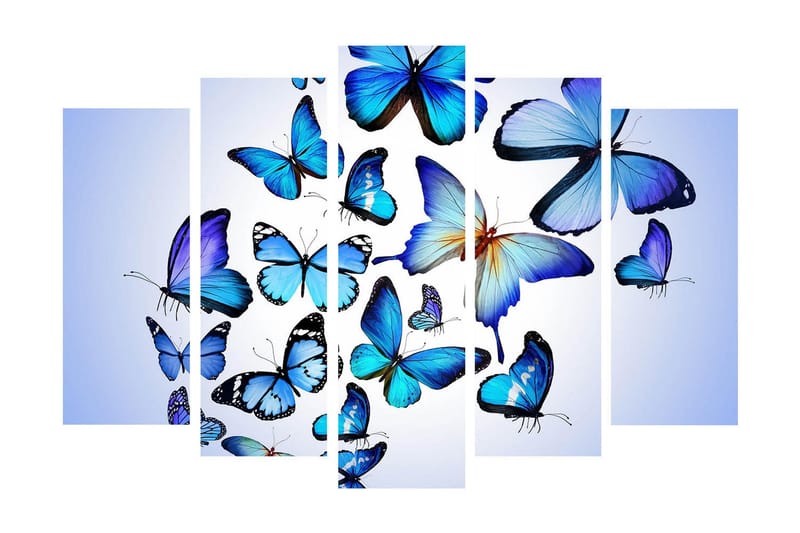 Suuri canvas-taulu, 5 osaa, 105x70 cm - Värikkäitä perhosia eri muodoissa ja kokoisina, Sininen / Turkoosi / Valkoinen