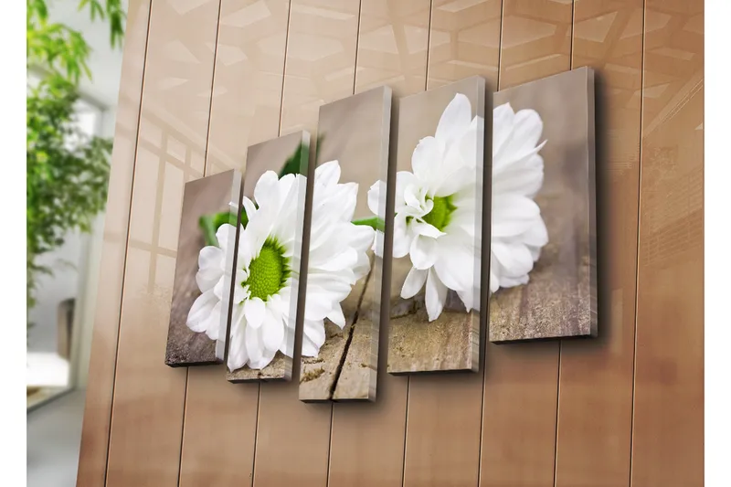 Suuri canvas-taulu, 5 osaa, 105x70 cm - Valkoisia päivänkakkaroita vihreillä keskiosilla - Valkoinen / Vihreä - Sisustustuotteet - Taulu & taide - Canvas-taulu