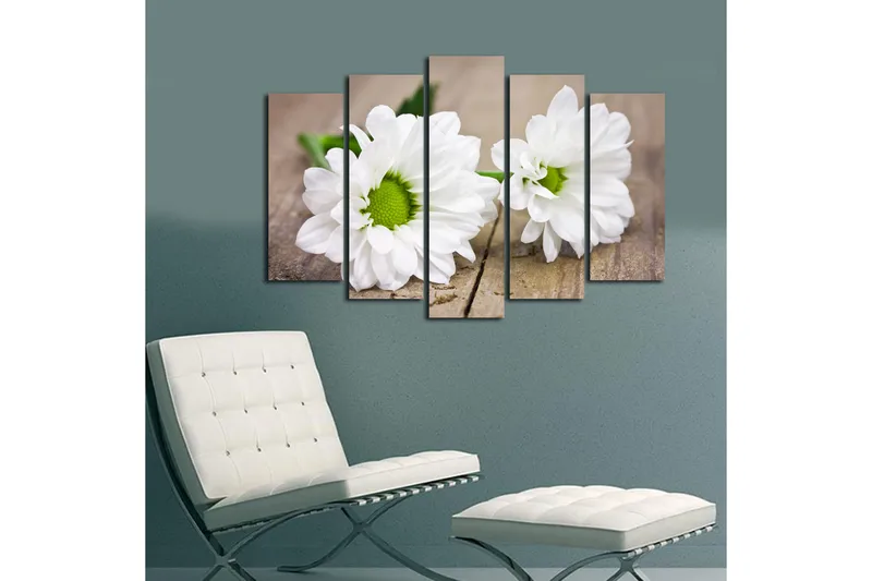 Suuri canvas-taulu, 5 osaa, 105x70 cm - Valkoisia päivänkakkaroita vihreillä keskiosilla - Valkoinen / Vihreä - Sisustustuotteet - Taulu & taide - Canvas-taulu