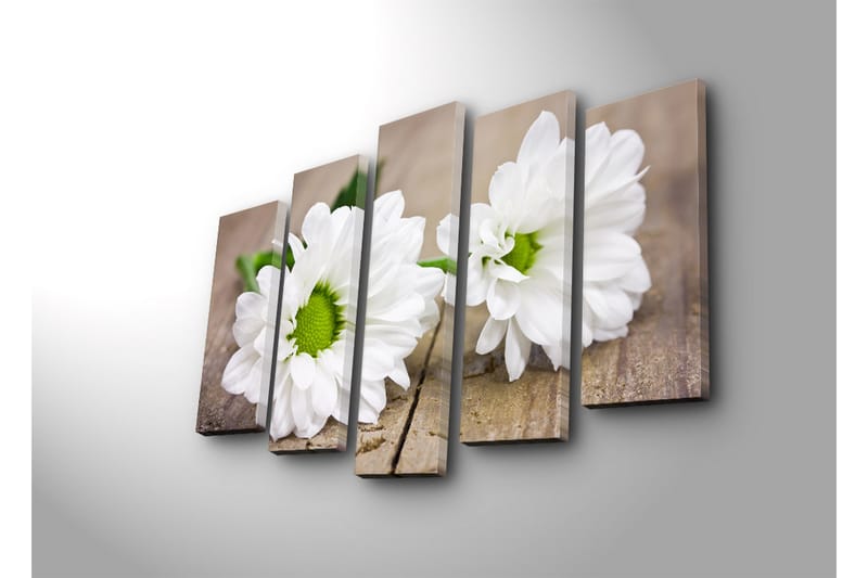 Suuri canvas-taulu, 5 osaa, 105x70 cm - Valkoisia päivänkakkaroita vihreillä keskiosilla - Valkoinen / Vihreä - Sisustustuotteet - Taulu & taide - Canvas-taulu