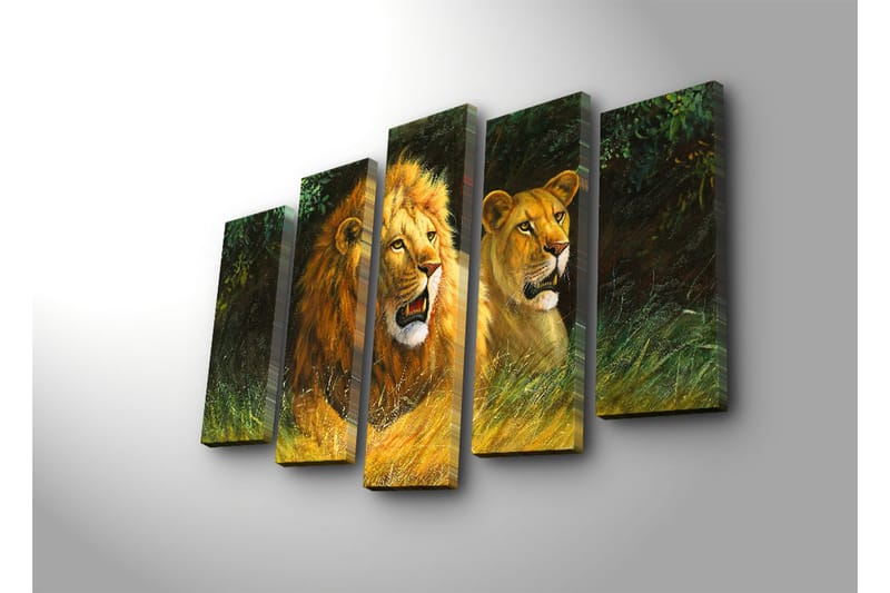 Suuri canvas-taulu, 5 osaa, 105x70 cm - Ylpeä naarasleijona ja leijona luonnollisessa ympäristössä - Kulta / Vihreä / Ruskea - Sisustustuotteet - Taulu & taide - Canvas-taulu