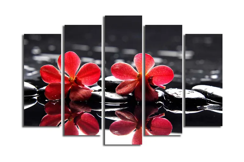 Suuri canvas-taulu, 5 osaa, 105x70 cm - Punaisia kukkia mustilla kivillä vedessä, Punainen / Musta