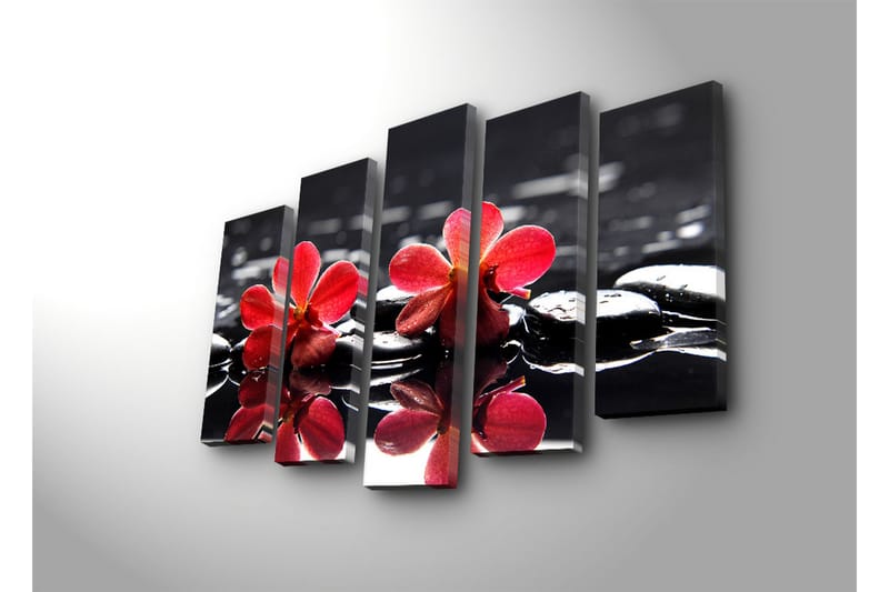 Suuri canvas-taulu, 5 osaa, 105x70 cm - Punaisia kukkia mustilla kivillä vedessä - Punainen / Musta - Sisustustuotteet - Taulu & taide - Canvas-taulu