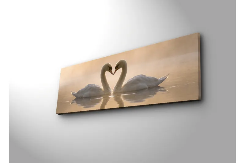 Suuri canvas-taulu 90x30 cm - Kaksi joutsenta muodostaa sydämen kaulillaan - Valkoinen / Beige - Sisustustuotteet - Taulu & taide - Canvas-taulu