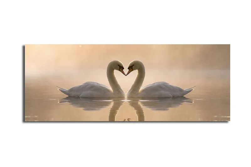 Suuri canvas-taulu 90x30 cm - Kaksi joutsenta muodostaa sydämen kaulillaan - Valkoinen / Beige - Sisustustuotteet - Taulu & taide - Canvas-taulu