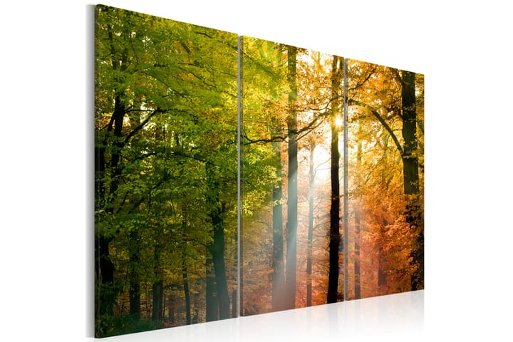 Taulu A calm autumn forest 90x60 - Artgeist sp. z o. o. - Canvas-taulu - Seinäkoristeet