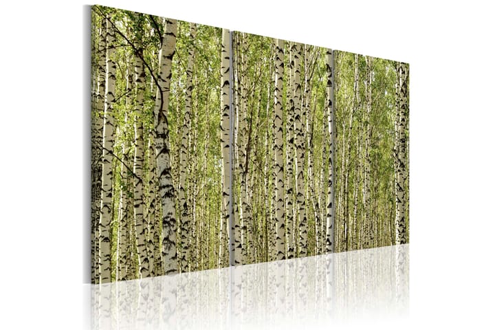Taulu A forest of birch trees 60x40 - Artgeist sp. z o. o. - Canvas-taulu - Seinäkoristeet