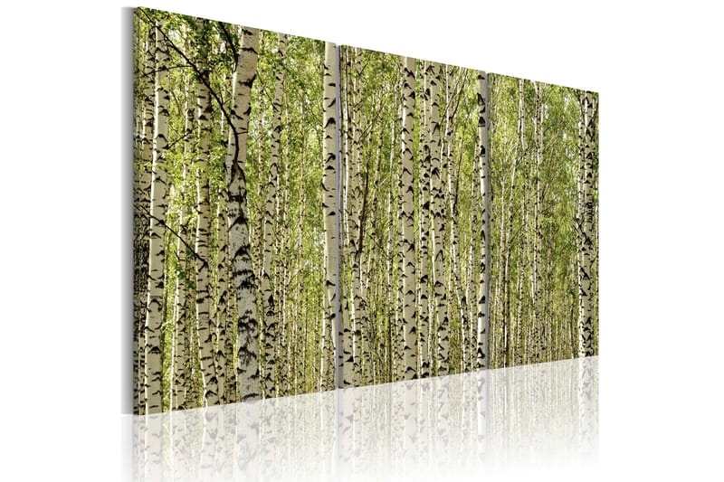 Taulu A forest of birch trees 60x40, Artgeist sp. z o. o.