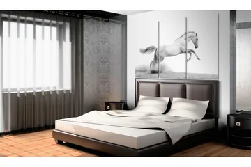 Taulu A Galloping Horse 120x80 - Artgeist sp. z o. o. - Sisustustuotteet - Taulu & taide - Canvas-taulu