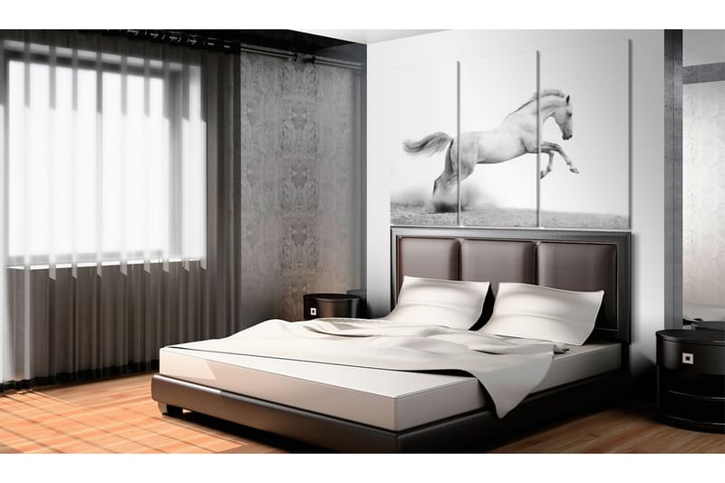 Taulu A Galloping Horse 120x80 - Artgeist sp. z o. o. - Sisustustuotteet - Taulu & taide - Canvas-taulu