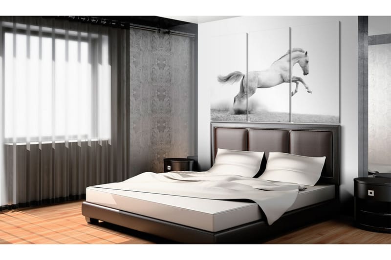 Taulu A galloping horse 90x60 - Artgeist sp. z o. o. - Sisustustuotteet - Taulu & taide - Canvas-taulu