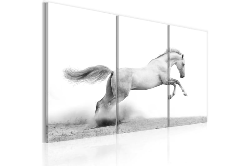 Taulu A galloping horse 90x60 - Artgeist sp. z o. o. - Sisustustuotteet - Taulu & taide - Canvas-taulu