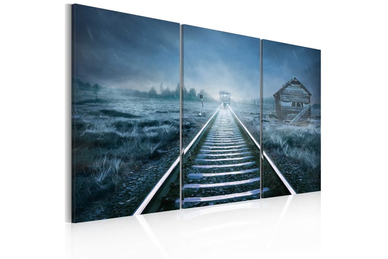 Taulu A Journey In The Fog 60x40, Artgeist sp. z o. o.