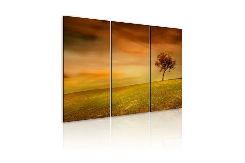 Taulu A Lonely Tree On A Meadow 120x80, Artgeist sp. z o. o.