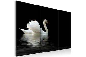 Taulu A Lonely White Swan 60x40