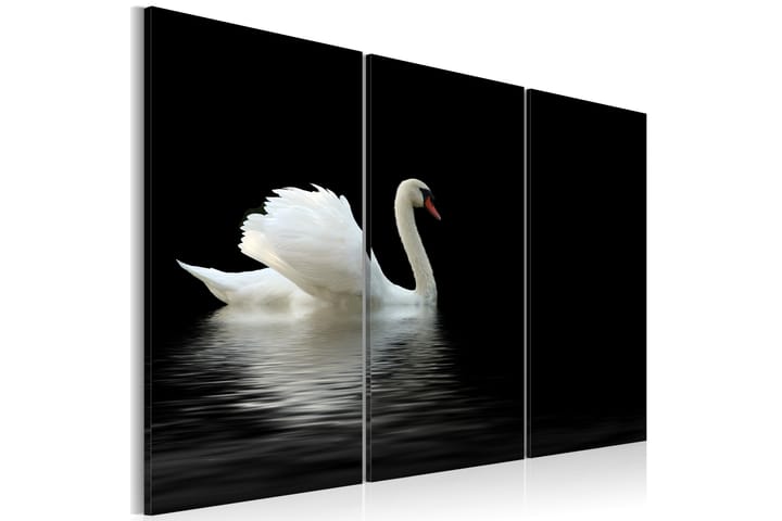 Taulu A Lonely White Swan 60x40 - Artgeist sp. z o. o. - Seinäkoristeet - Canvas-taulu