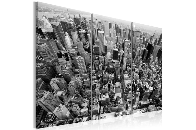 Taulu A marvellous view on New York roofs 60x40, Artgeist sp. z o. o.