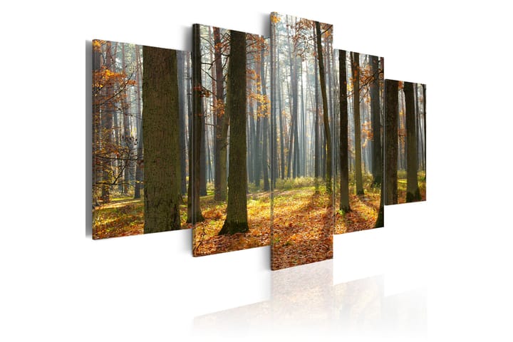 Taulu A Nice Forest Landscape 200x100 - Artgeist sp. z o. o. - Canvas-taulu - Seinäkoristeet