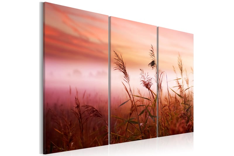 Taulu A Silent Meadow 120x80 - Artgeist sp. z o. o. - Canvas-taulu - Seinäkoristeet