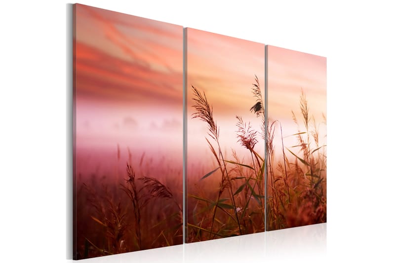 Taulu A Silent Meadow 60x40 - Artgeist sp. z o. o. - Sisustustuotteet - Taulu & taide - Canvas-taulu