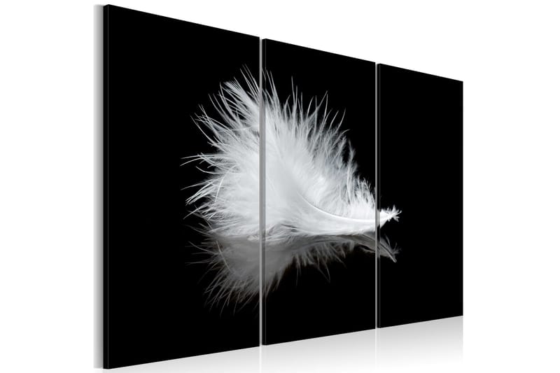 Taulu A Small Feather 120x80, Artgeist sp. z o. o.