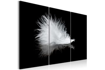 Taulu A small feather 90x60