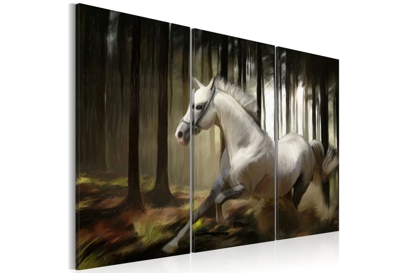 Taulu A White Horse In The Midst Of The Trees 60x40, Artgeist sp. z o. o.