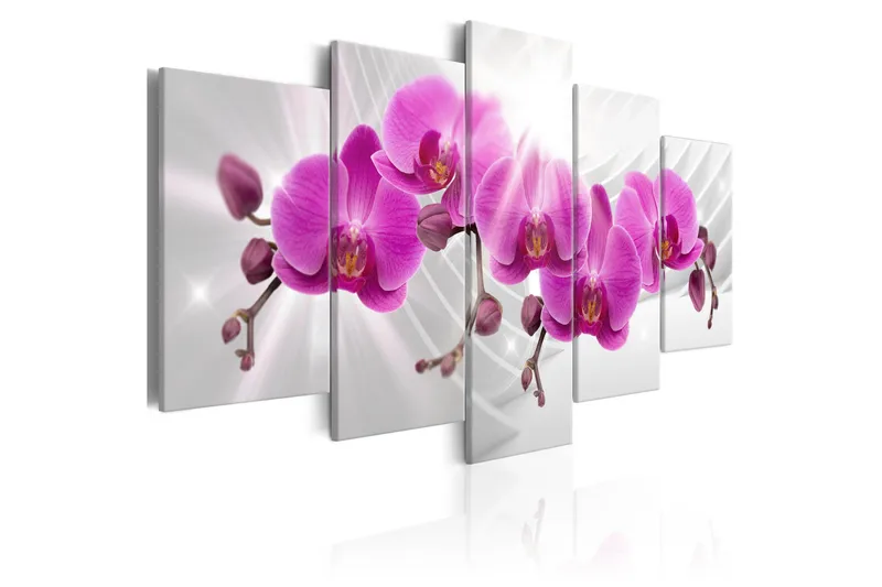 Taulu Abstract Garden Pink Orchids 100x50, Artgeist sp. z o. o.