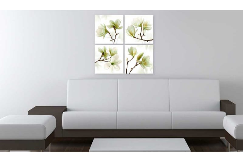 Taulu Admiration Of Magnolia 40x40 - Artgeist sp. z o. o. - Sisustustuotteet - Taulu & taide - Canvas-taulu