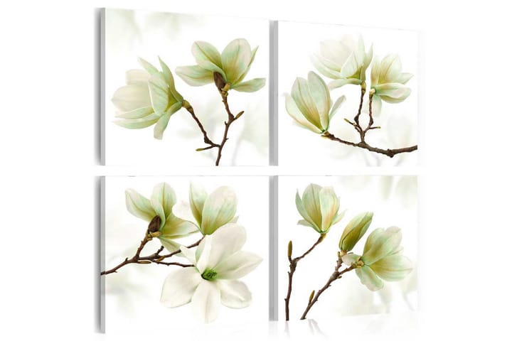 Taulu Admiration Of Magnolia 80x80 - Artgeist sp. z o. o. - Seinäkoristeet - Canvas-taulu