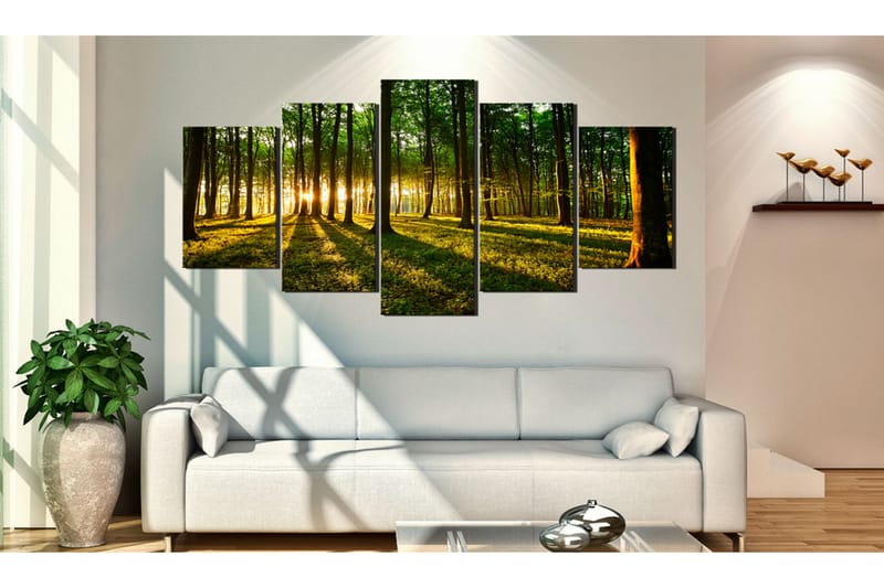 Taulu Adventure In The Woods 200x100 - Artgeist sp. z o. o. - Sisustustuotteet - Taulu & taide - Canvas-taulu