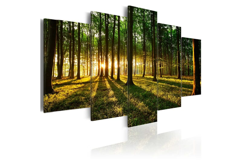 Taulu Adventure In The Woods 200x100 - Artgeist sp. z o. o. - Sisustustuotteet - Taulu & taide - Canvas-taulu