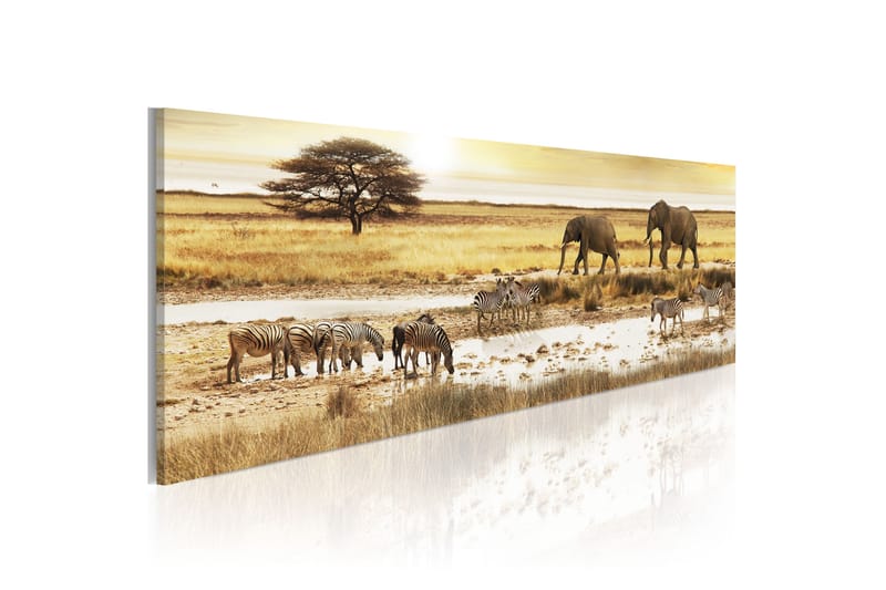 Taulu Africa At The Waterhole 120x40, Artgeist sp. z o. o.