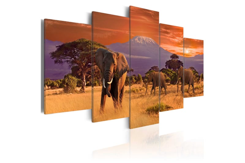 Taulu Africa Elephants 200x100, Artgeist sp. z o. o.