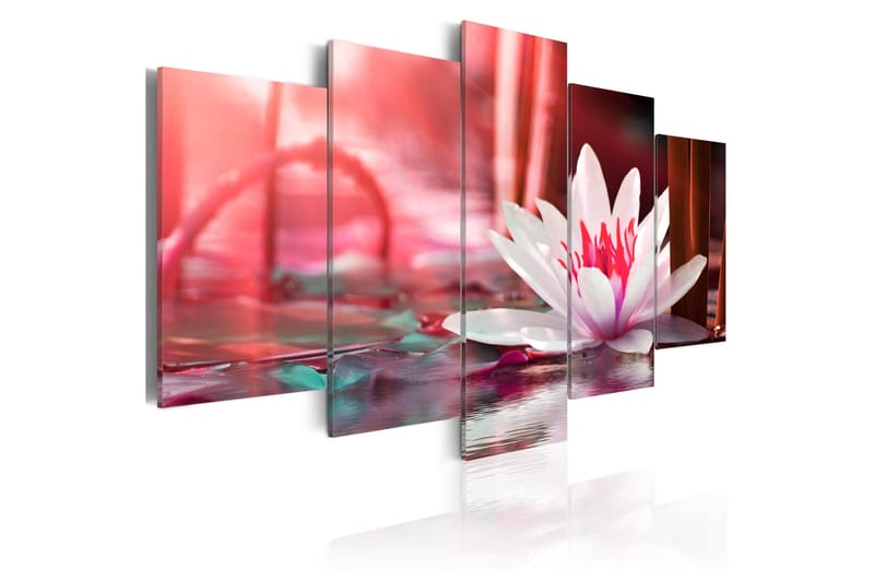 Taulu Amaranthine Lotus 200x100, Artgeist sp. z o. o.
