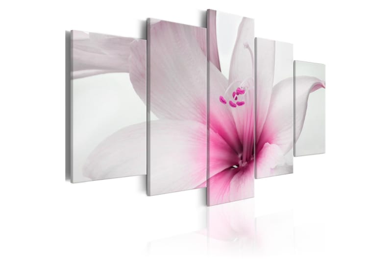 Taulu Amarylis Pink Charm 200x100, Artgeist sp. z o. o.