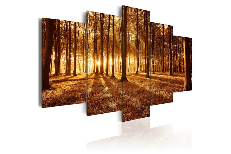 Taulu Amber Forest 100x50, Artgeist sp. z o. o.