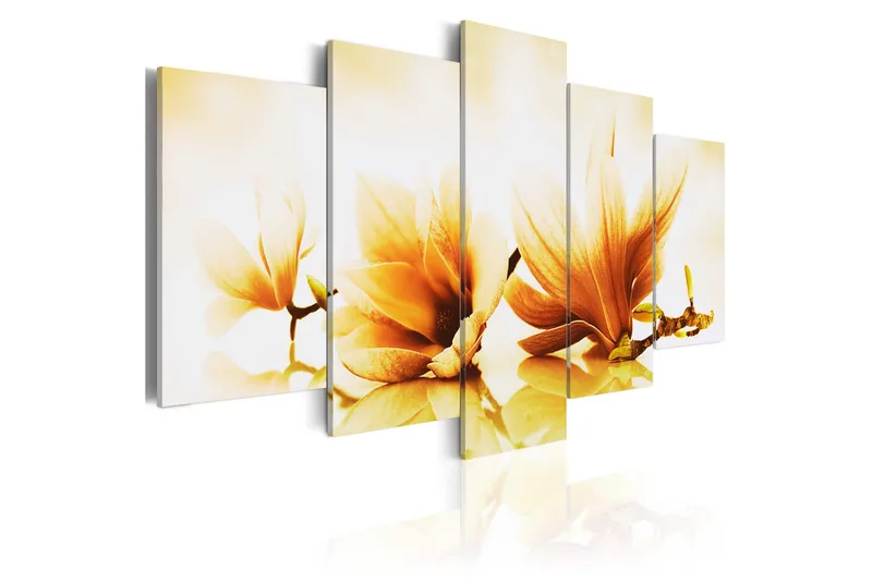 Taulu Amber Magnolias 200x100, Artgeist sp. z o. o.