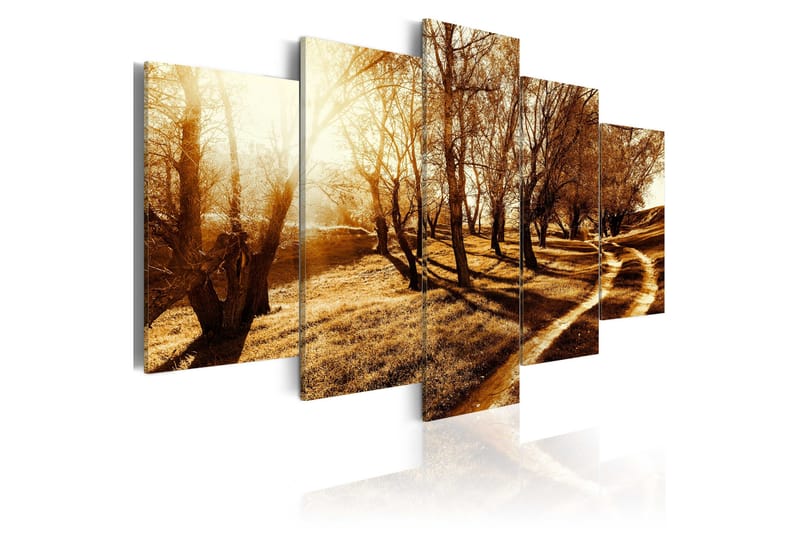 Taulu Amber Orchard 100x50, Artgeist sp. z o. o.